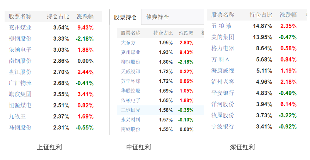 什么是定投基金红利发放（基金定投的红利是什么意思）