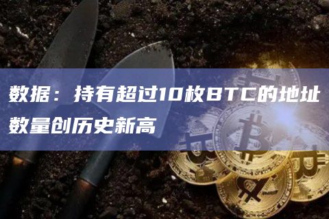 数据：持有超过10枚BTC的地址数量创历史新高