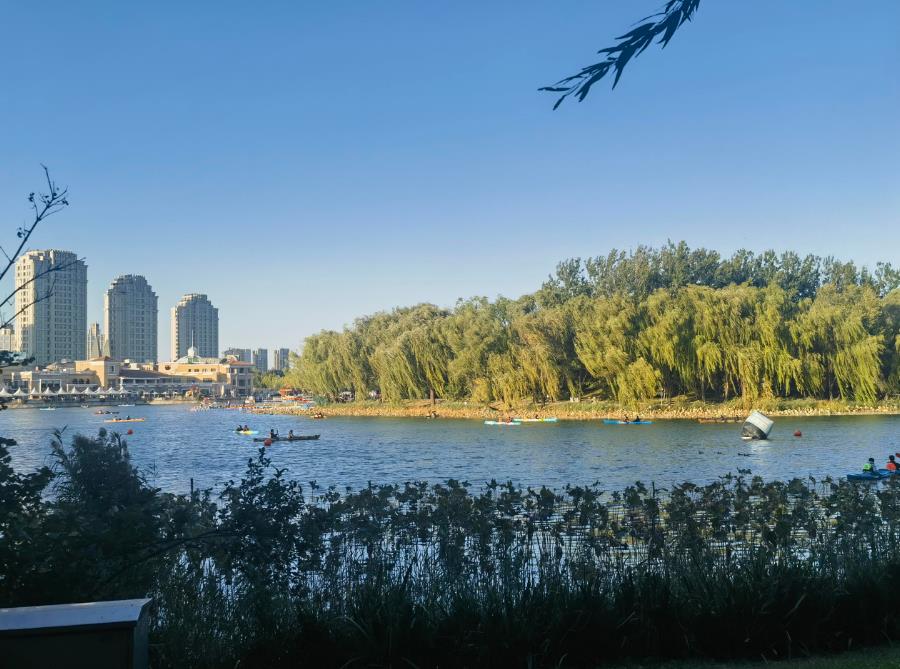 买基金和理财哪个安全（买基金和理财哪个安全可靠）