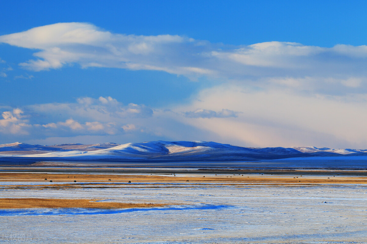基金卖出为何迟迟不到账(基金卖出为什么不到账)