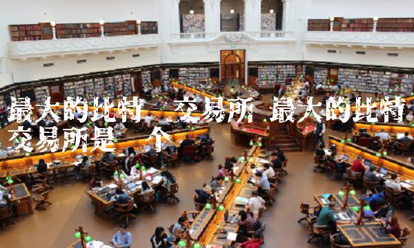 最大的比特币交易所是哪个