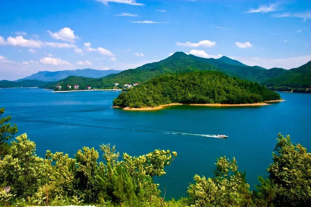 理财买基金本金会亏本吗（理财买基金亏了）4