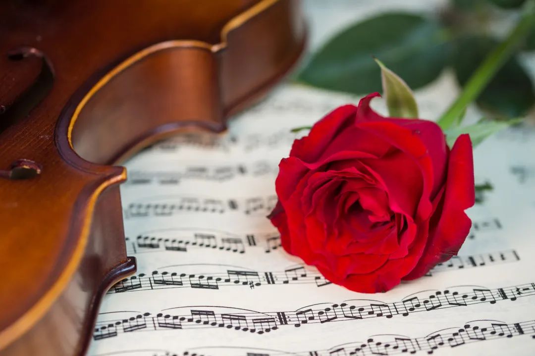 小雪球理财（小雪球理财怎么买）