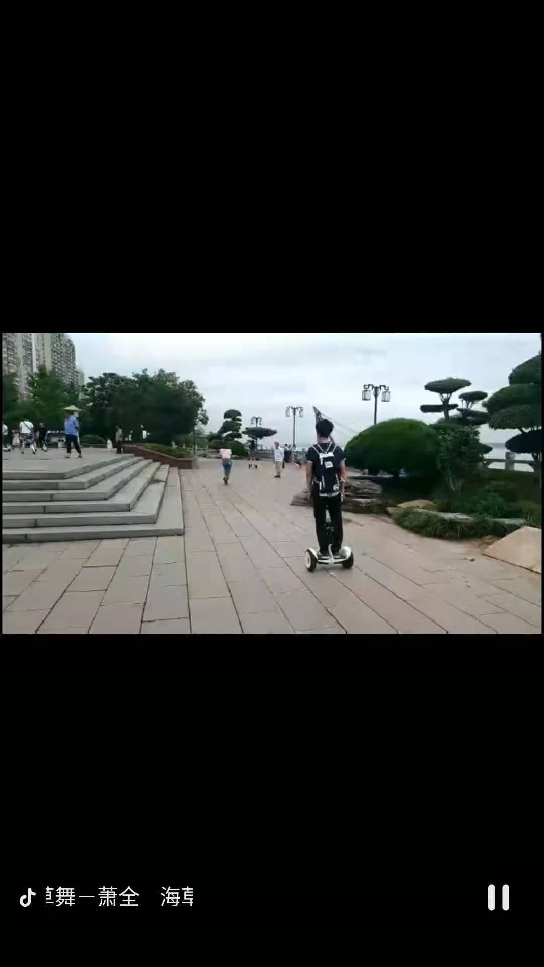 领奥和阿尔郎平衡车哪个好（领奥与阿尔郎平衡车哪个更好）