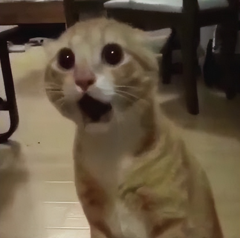 基金天天跌会把钱亏完吗（基金一直下跌,会不会把钱全部亏空）