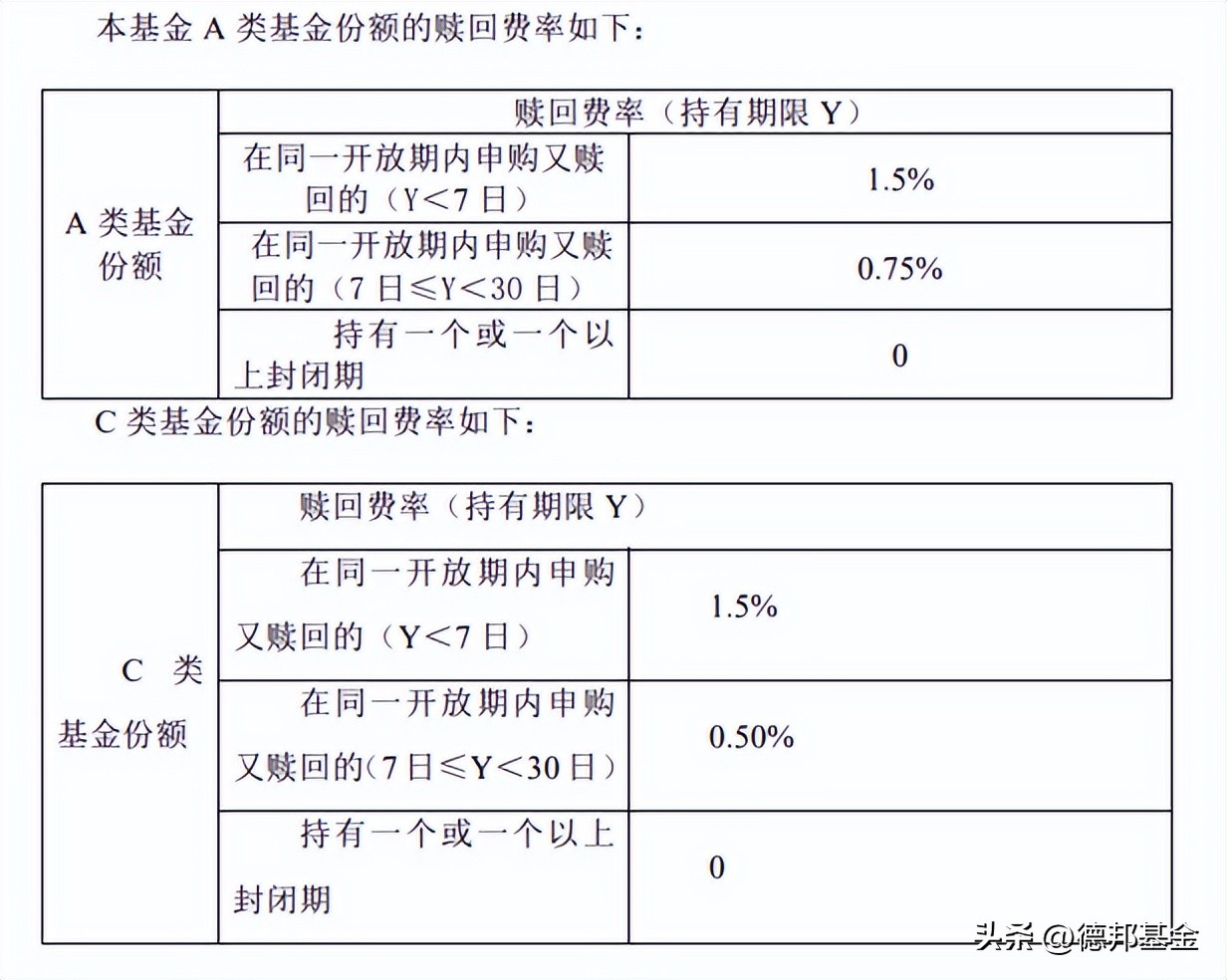 基金持有一年赚钱的概率（基金放一年赚钱概率）