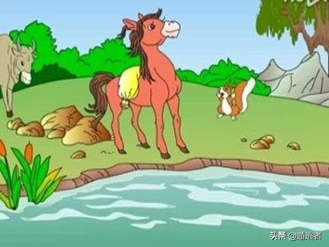 新手理财（新手怎样学理财）