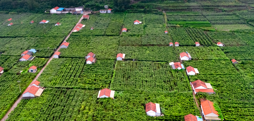 源泉生态果园在哪里（源泉科技产业园）