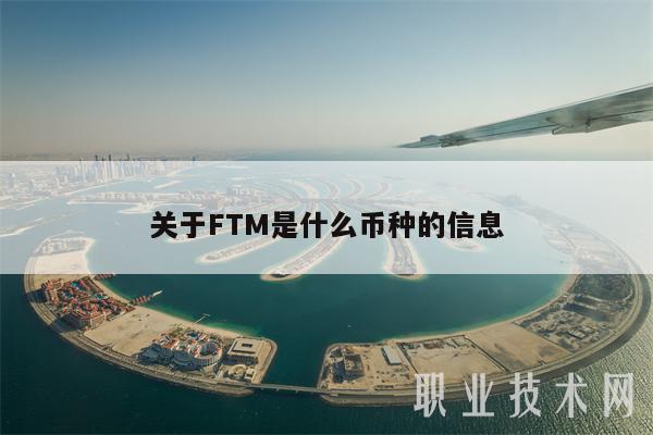 关于FTM是什么币种的信息
