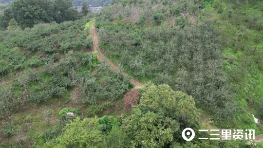 生态果园图片（生态果园图片大全）