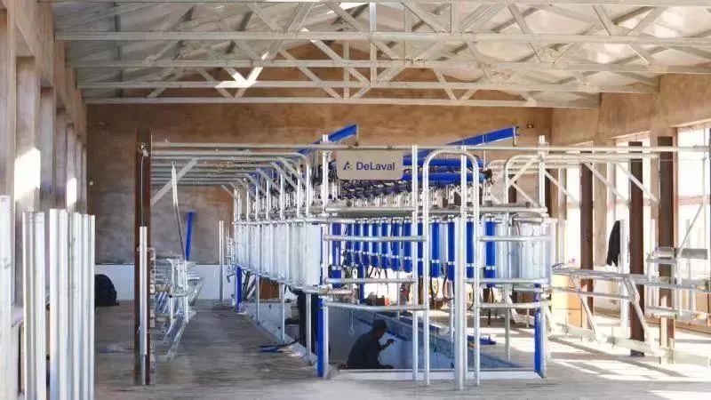 内蒙古玉米压片生产厂家（辽宁玉米压片生产商）