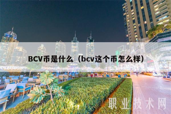 BCV币是什么（bcv这个币怎么样）