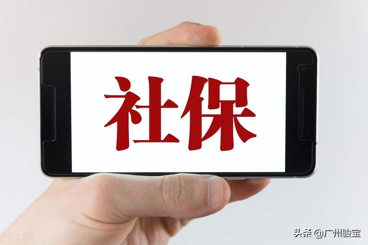 社会保险基金按险种分为（社会保险基金按险种分为哪几类）