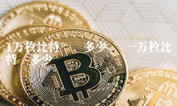 1万枚比特币值多少钱
