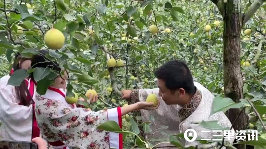 生态果园图片（生态果园图片大全）