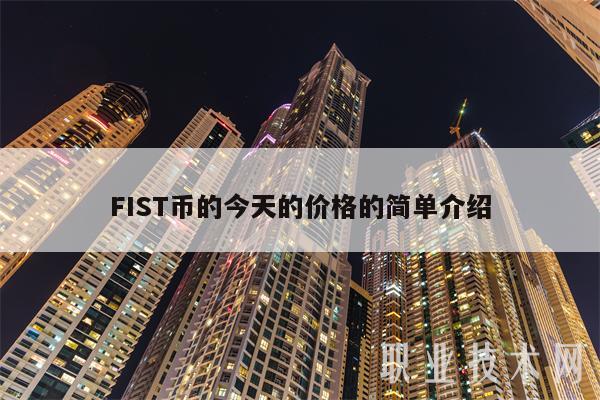 FIST币的今天的价格的简单介绍