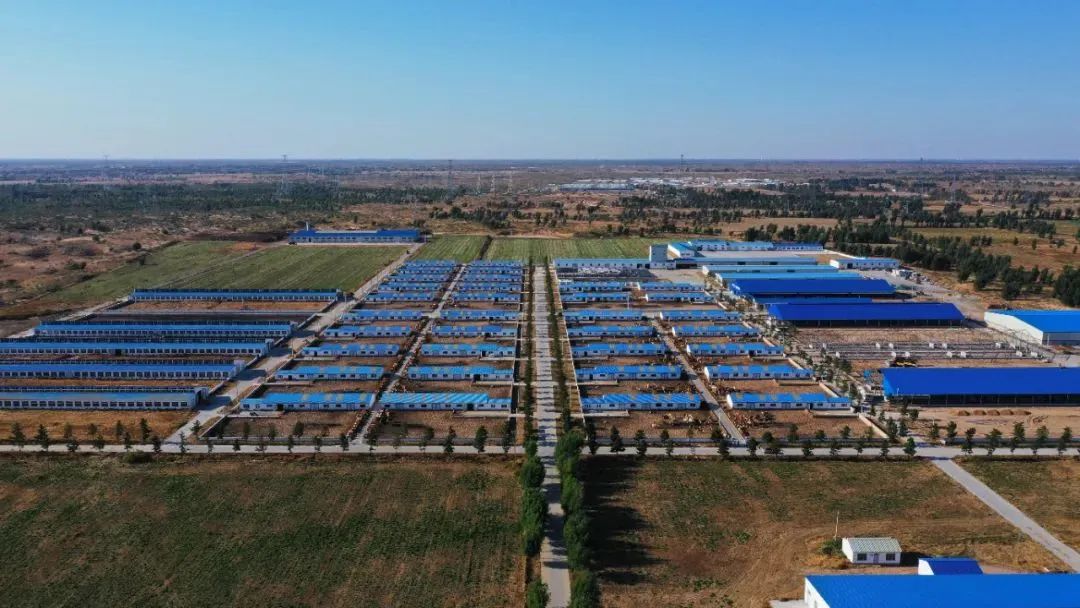 内蒙古玉米压片生产厂家（辽宁玉米压片生产商）