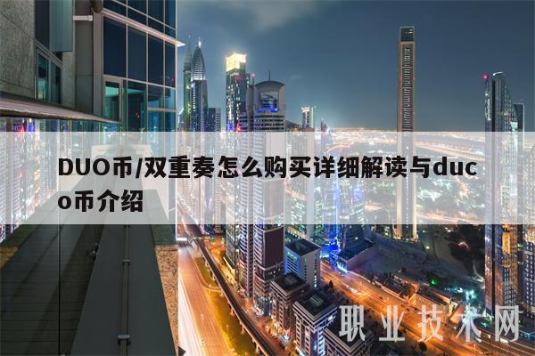 DUO币／双重奏怎么购买详细解读与duco币介绍