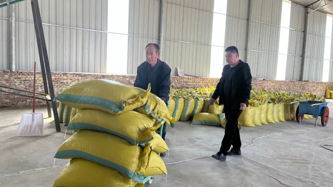 玉米压片好卖吗（玉米压片好卖吗多少钱）4