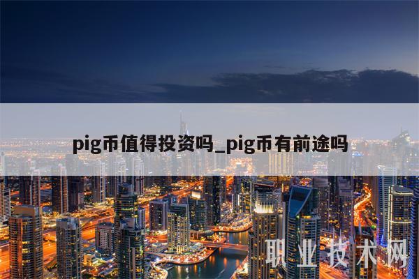 pig币值得投资吗_pig币有前途吗