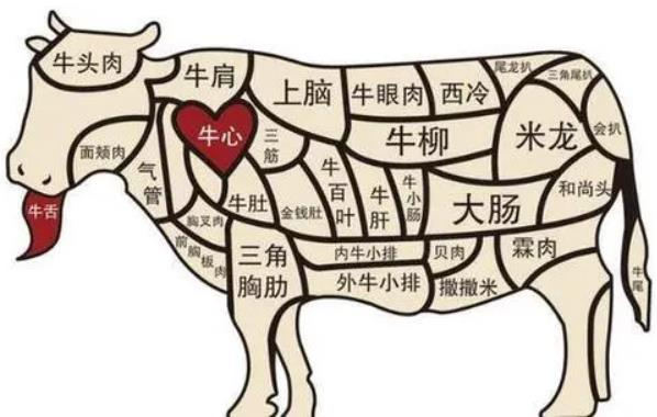 现在买哪个基金赚钱（现在买基金有钱赚吗）