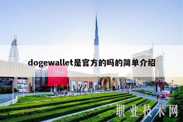 dogewallet是官方的吗的简单介绍
