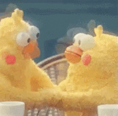 股票高级训练营（股票理财训练营）3