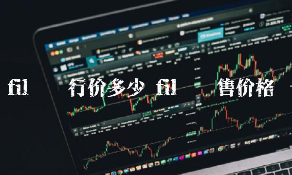 fil币发行价多少