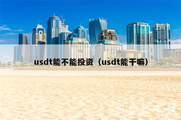 usdt能不能投资（usdt能干嘛）