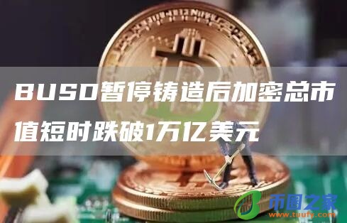 BUSD暂停铸造后加密总市值短时跌破1万亿美元