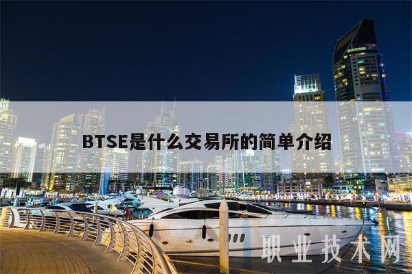 BTSE是什么交易所的简单介绍