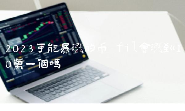 fil会涨到10万一个吗