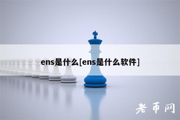 ens是什么[ens是什么软件]