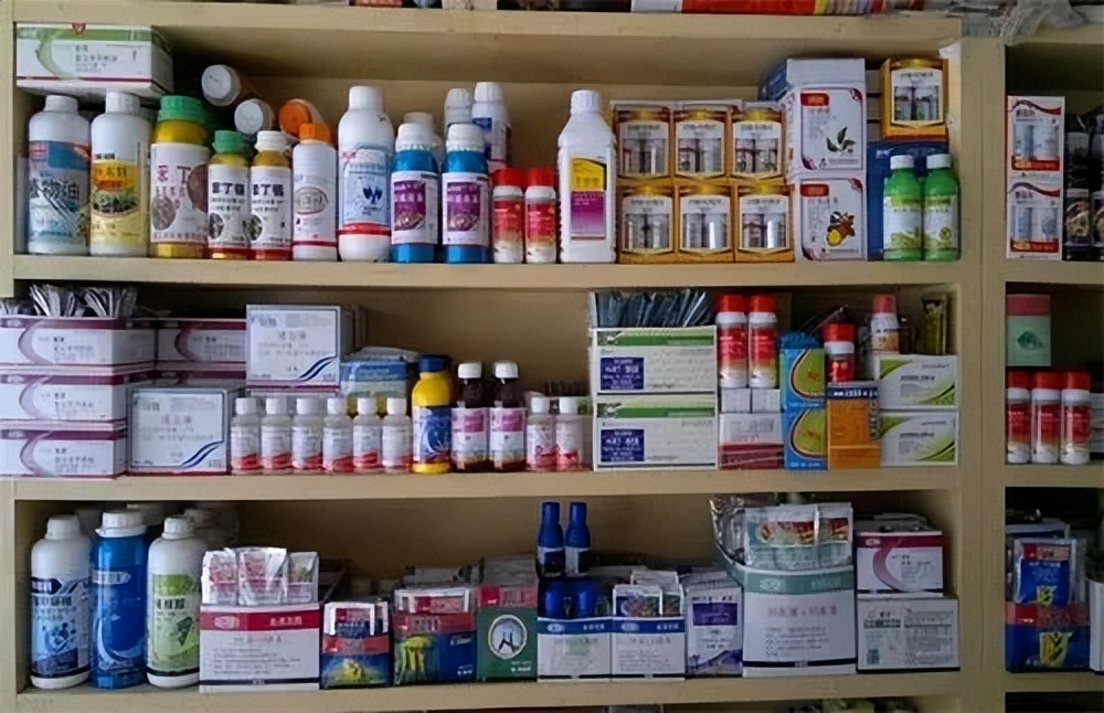 当今最赚钱的小本生意（当今最赚钱的小本生意有哪些）3