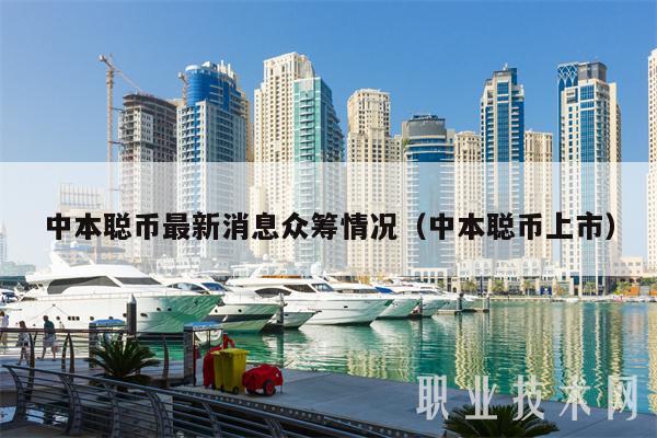 中本聪币最新消息众筹情况（中本聪币上市）