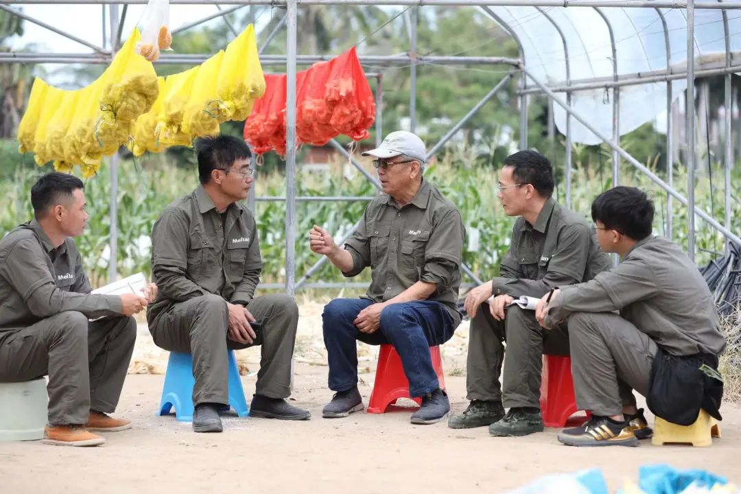 玉米深加工加盟办厂（鲜玉米加工厂加盟）