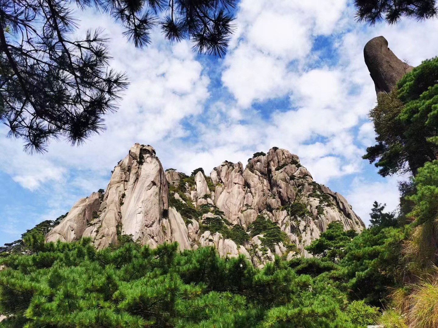 基金怎么玩视频教程（如何投资基金视频）