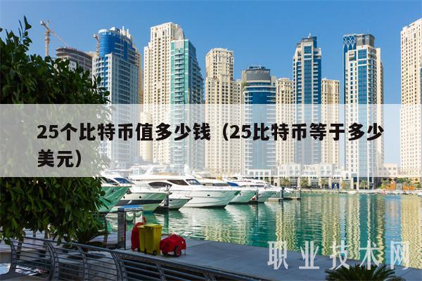 25个比特币值多少钱（25比特币等于多少美元）