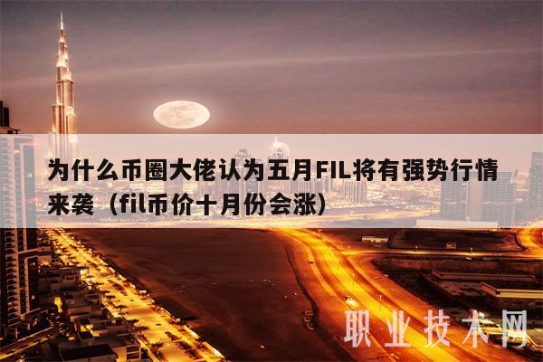 为什么币圈大佬认为五月FIL将有强势行情来袭（fil币价十月份会涨）