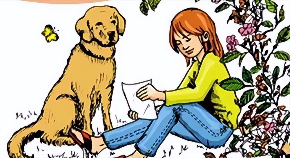 基金理财入门必备知识书籍（基金理财入门必备知识书籍有哪些）