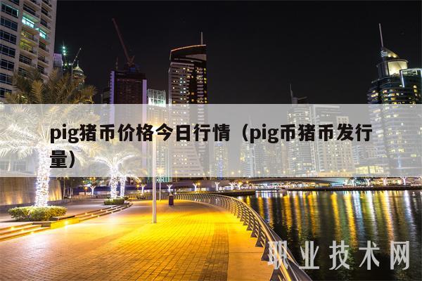 pig猪币价格今日行情（pig币猪币发行量）