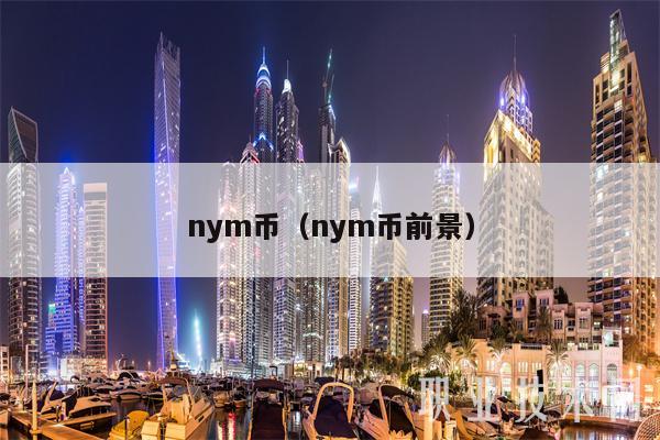 nym币（nym币前景）