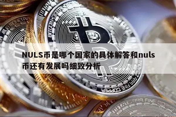 NULS币是哪个国家的具体解答和nuls币还有发展吗细致分析