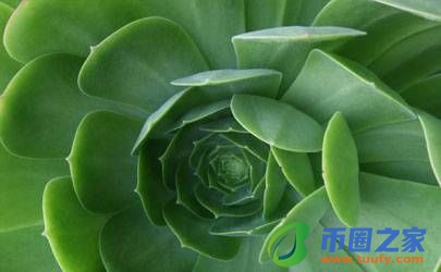 属龙人2023年佩戴什么好_属龙的兔年吉祥物是什么