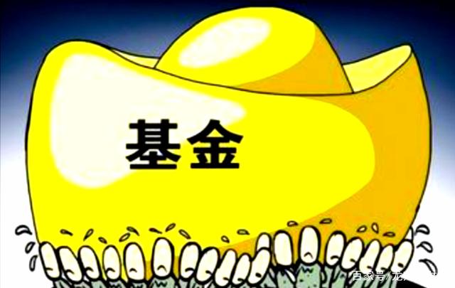 如何选择基金知乎账户（买基金新手入门 知乎）3