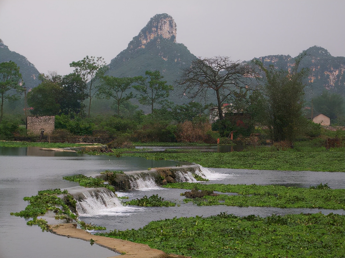 磷肥股票有哪些龙头股（磷肥类股票）2