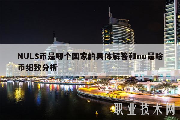 NULS币是哪个国家的具体解答和nu是啥币细致分析插图 NULS币是哪个国家的具体解答和nu是啥币细致分析