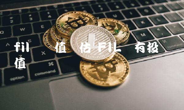 FIL币有投资价值吗