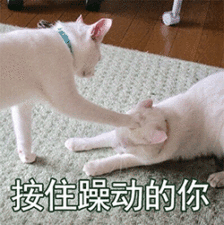 意外险保险怎么买（儿童意外险保险怎么买）