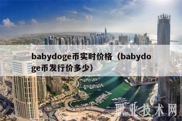 babydoge币实时价格（babydoge币发行价多少）